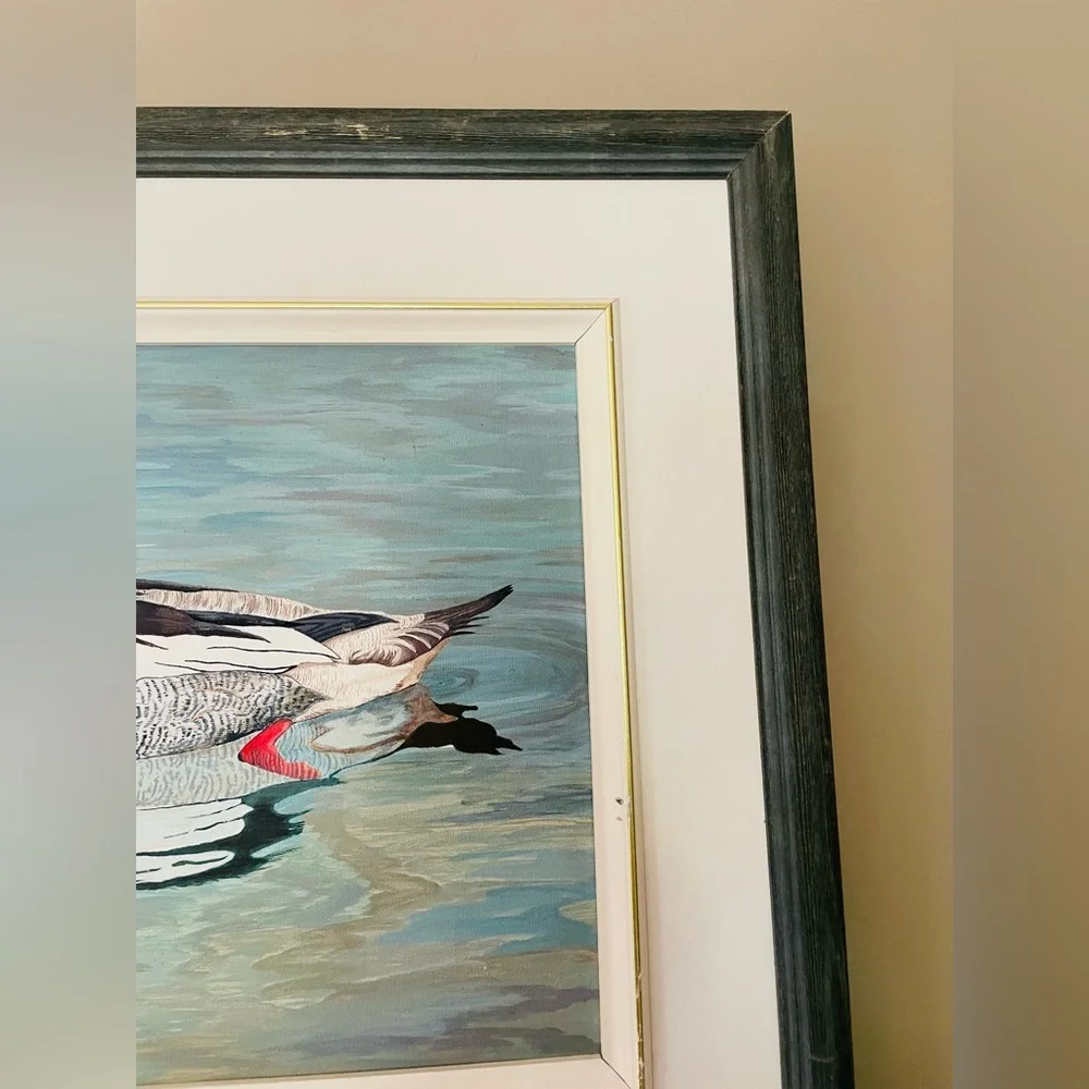 Framed Waterfowl Print - Colorful Duck Illustration - Picture 4 of 5